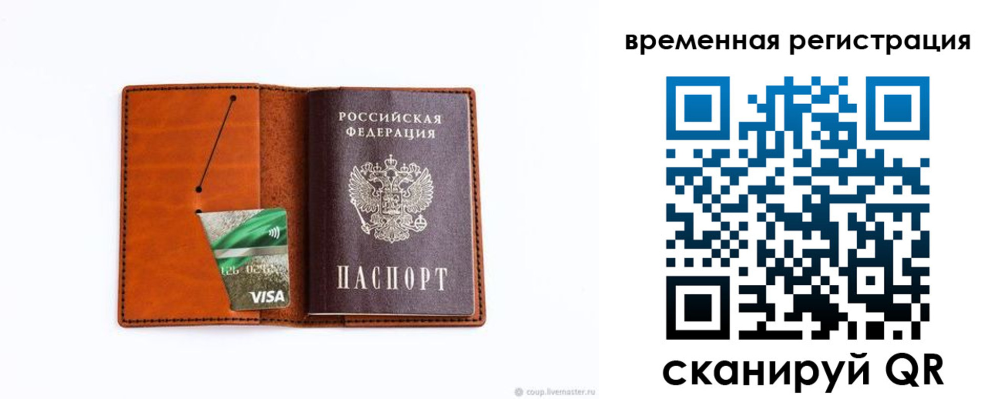 прописка для школы в Шумихе
